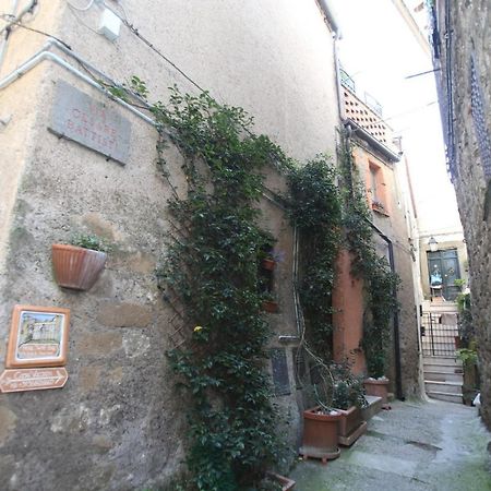 Villa Gusto E Benessere Sweet Home E Ristorante Sacrofano エクステリア 写真