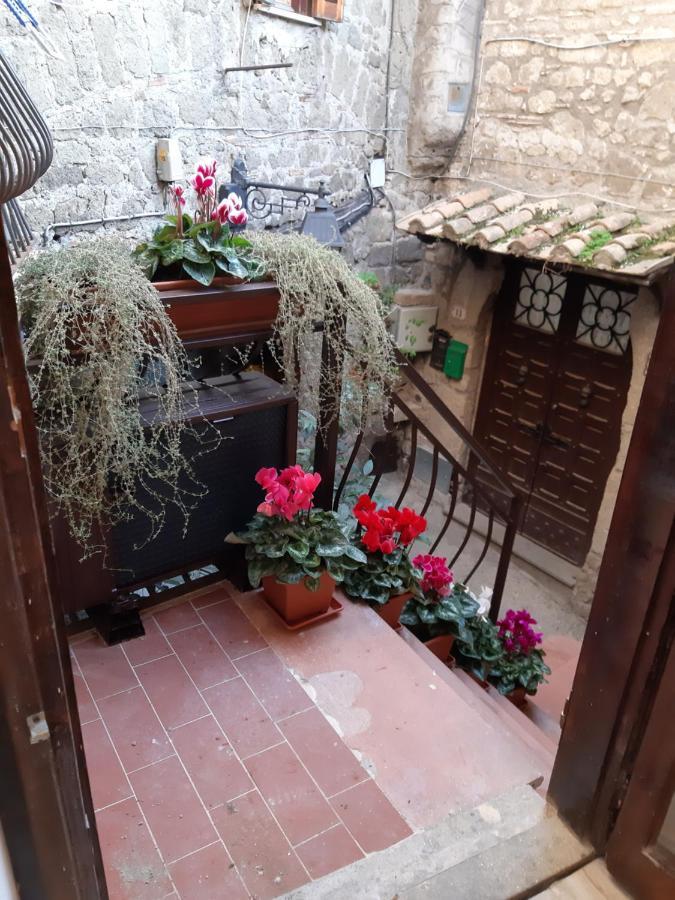 Villa Gusto E Benessere Sweet Home E Ristorante Sacrofano エクステリア 写真